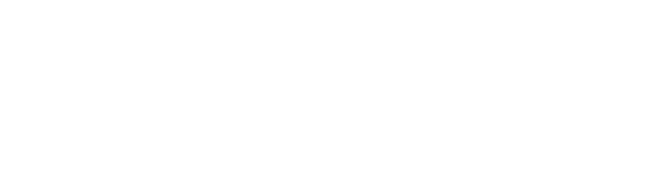 The New York Times Style Magazine Logo